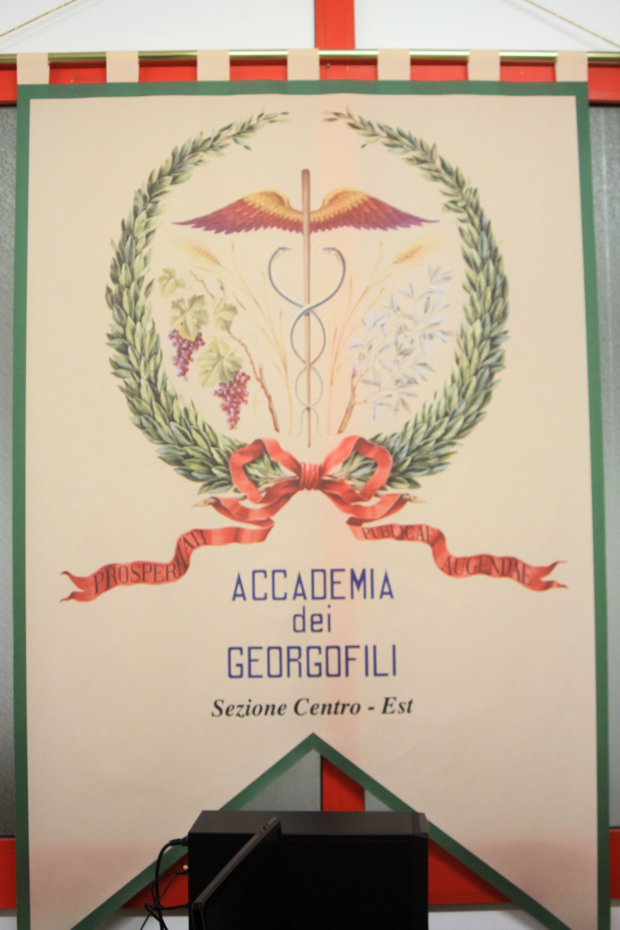 Lo stendardo dell'Accademia dei Georgofili