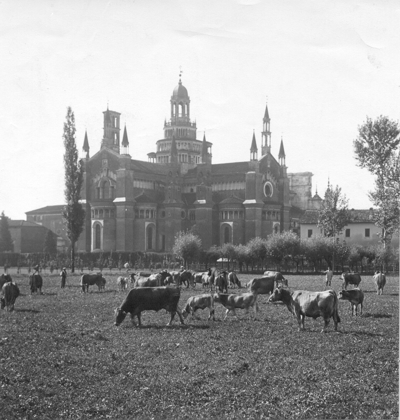 Certosa di Pavia