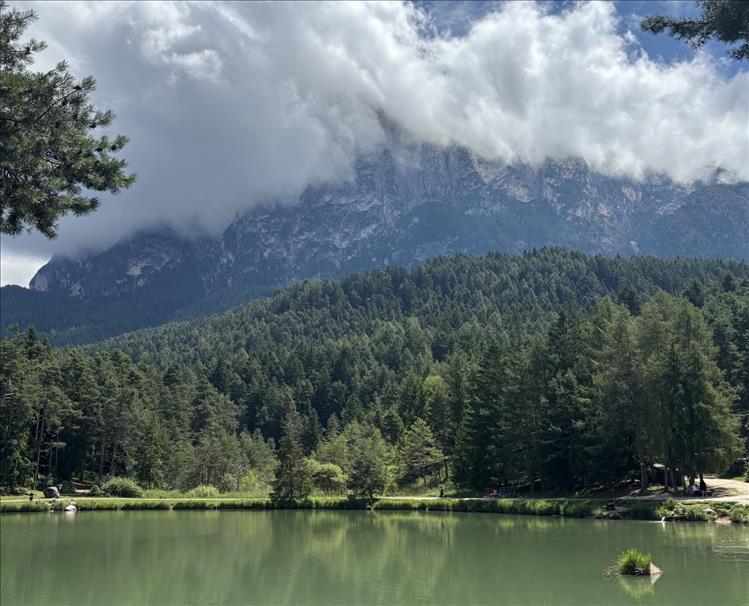 paesaggio giulia.jpg