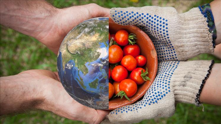 food security e safety.jpg