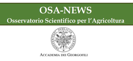osa news.jpg