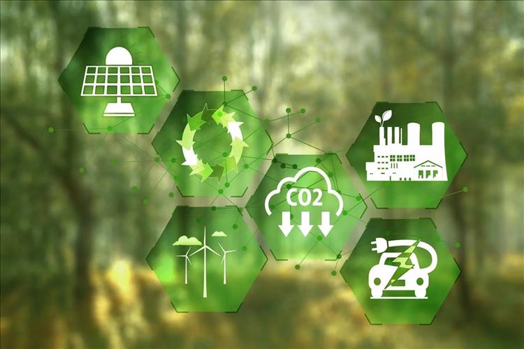 carbon-neutrality-ok.jpg